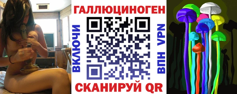 Псилоцибиновые грибы Psilocybe Асино
