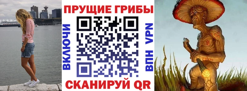 Псилоцибиновые грибы GOLDEN TEACHER  Асино 